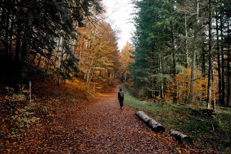 Ochagavía Ruta a la Cascada de Cubo Selva de Irati Qué ver en Navarra Excursiones desde Pamplona