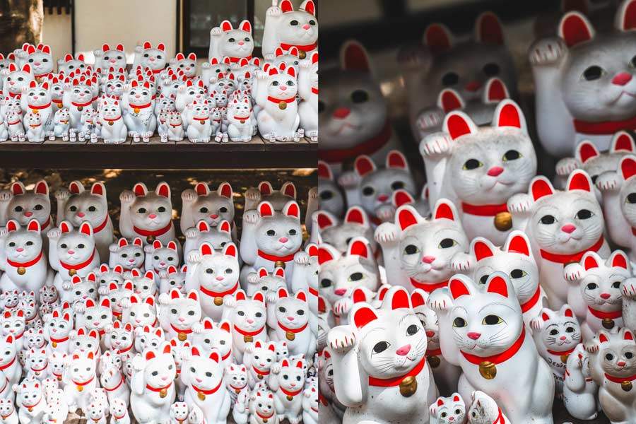 Qué ver en Japón Curiosidades de Japón Cultura Japonesa Maneki Neko Templo Gotokuji Gato de la suerte QUÉ VER CERCA DE TOKIO TEMPLOS MÁS BONITOS DE TOKIO 