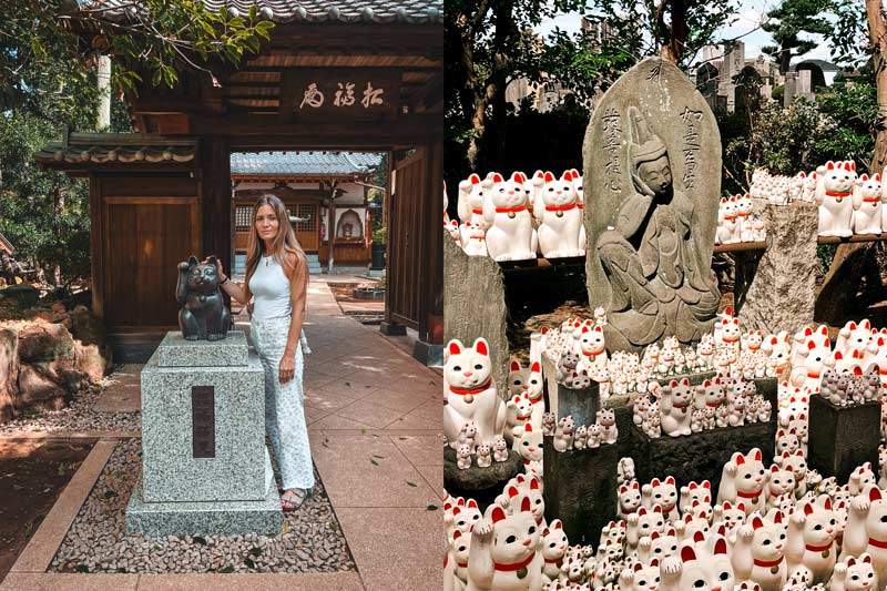 Qué ver en Japón Curiosidades de Japón Cultura Japonesa Maneki Neko Templo Gotokuji Gato de la suerte QUÉ VER CERCA DE TOKIO TEMPLOS MÁS BONITOS DE TOKIO visita al Templo Gotokuji